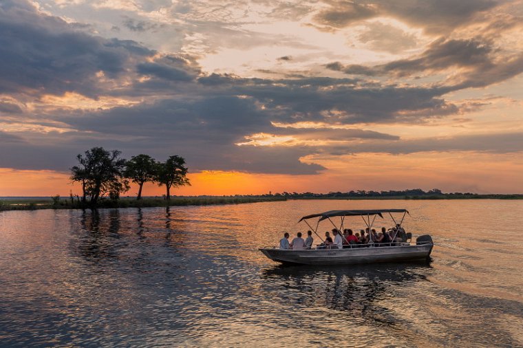 016 Botswana, Chobe NP.jpg